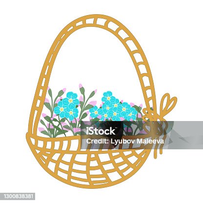 istock Cute vector set of compositions of flowers and forget me not buds: an inflorescence of forget-me-not buds, a small bouquet, cartoon basket with flowers. Stock illustration 1300838381
