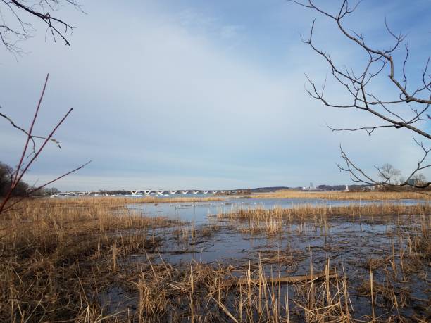 istock Wilson bridge and Potomac river in DC metro area 1300838500