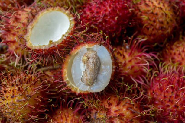 Rambutan is hairy fruit from Asia. Have sweet and sour taste, juicy texture and seed inside.