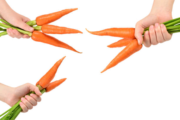 istock Fresh orange carrot in woman hands on a white background. 1300839520
