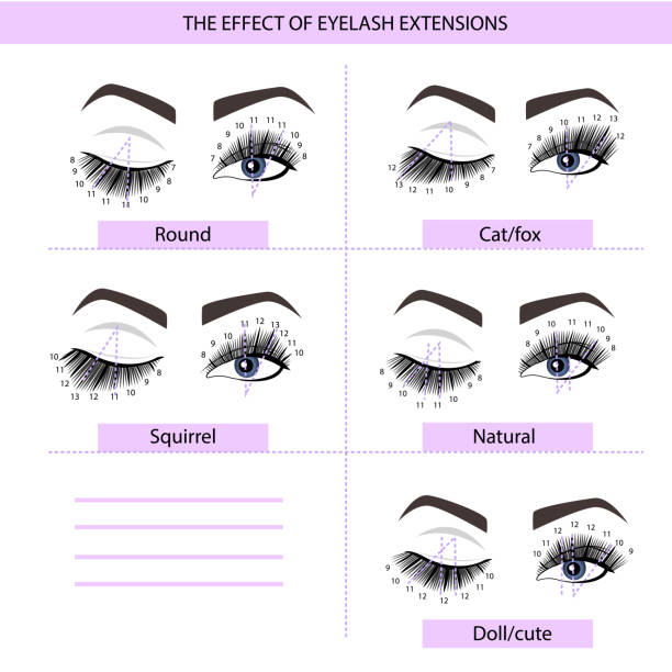 ilustrações, clipart, desenhos animados e ícones de guia de extensão de cílios. esquemas de direção. dicas e truques para extensão de cílios. ilustração vetorial infográfica. - cílios postiços