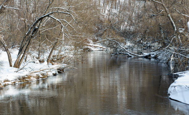 istock Calm unfrozen river and snowy trees. Sunny winter day 1300843789