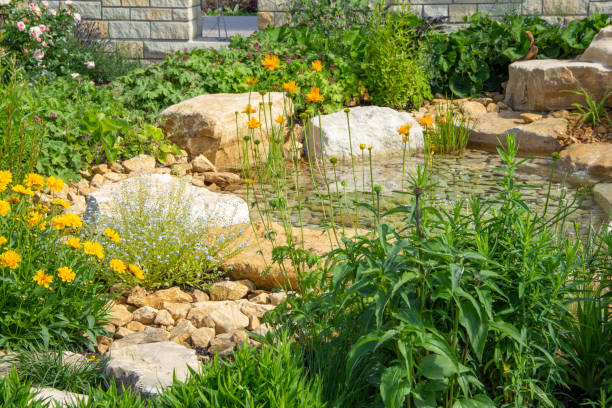 Beautiful garden pond