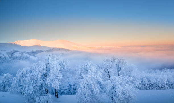 istock Snowy forest in the mountains at dawn. 1300844548