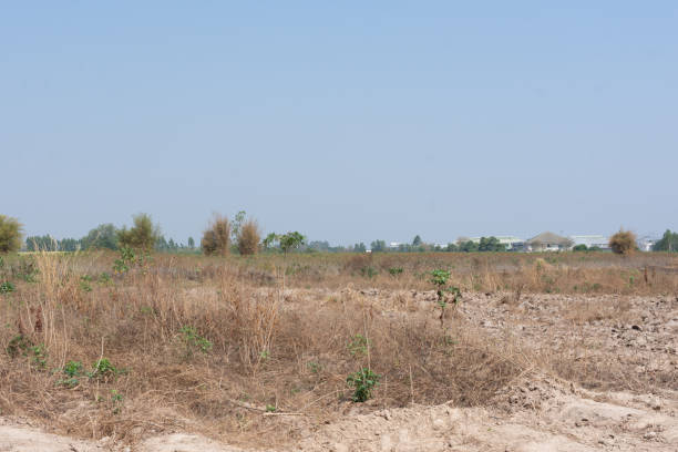 istock Empty land in the countryside for sale 1300846905