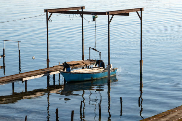 istock oyster and mussel farming 1300858937