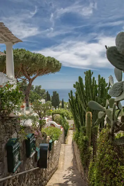 Narrow footpath with mediterranean plants and a fantastic view of the Tyrrhenian Sea in Capri Island, Italy