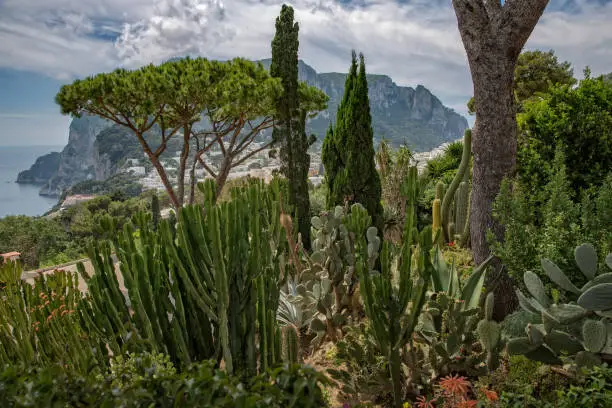 Typical landscape on the island of Capri with an exotic garden, white houses and the Monte Solaro mountain in the background, Tyrrhenian sea, Italy