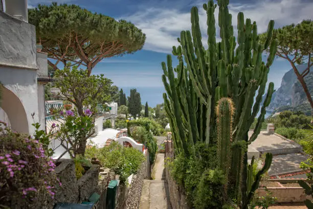 Narrow footpath with Mediterranean plants and a fantastic view of the Tyrrhenian Sea in Capri Island, Italy