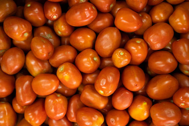 istock Heap of Tomato’s 1300863101