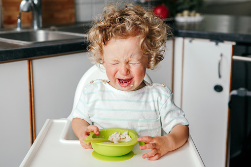 Crying Caucasian kid boy sitting in high chair with cereal puree on plate. Child refusing eat healthy food. Toddler screaming in tantrum. Terrible two. Candid authentic home life childhood moment.