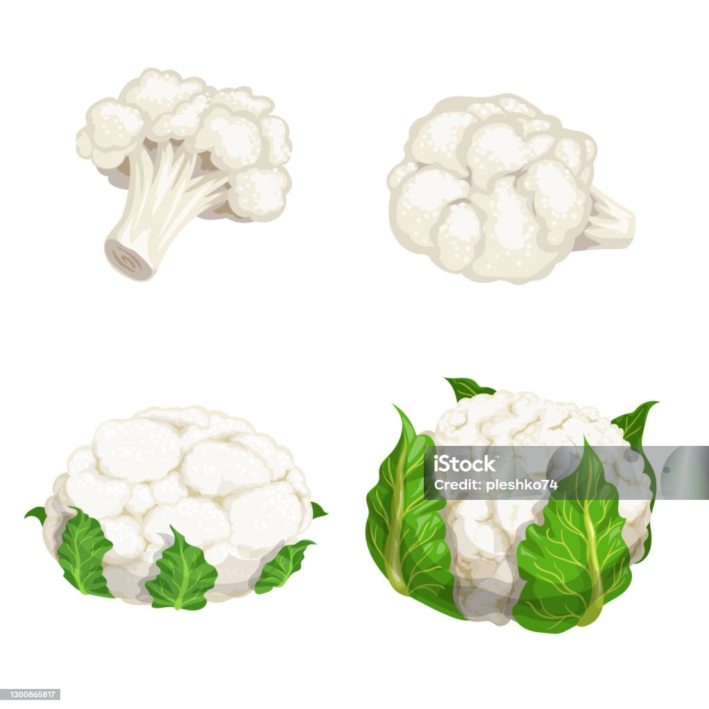 Cauliflower Set Vegetables In Cartoon Flat Design Eco Farm Fresh Veggies  Vector Illustrations Isolated On White Background Stock Illustration -  Download Image Now - iStock