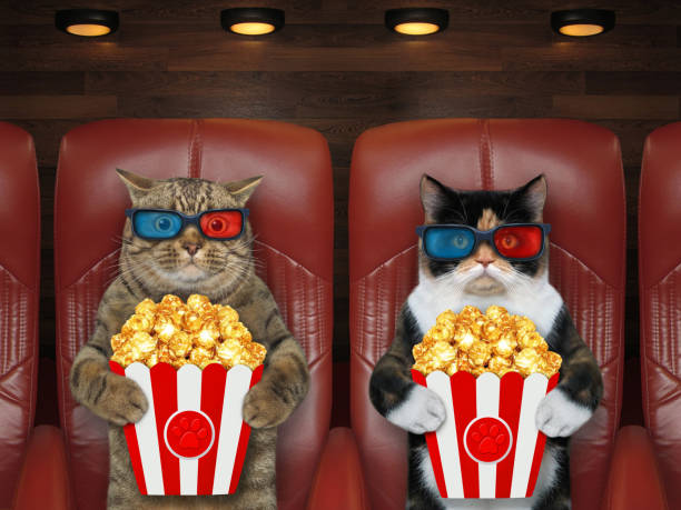 istock Cats in 3d glasses watching movie 2 1300867166