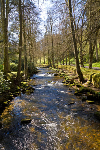 istock Spa gardens in Bad Wildbad 1300868553