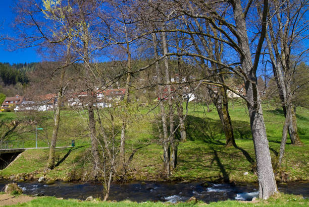 istock Spa gardens in Bad Wildbad 1300868564