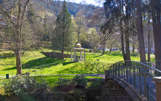 istock Spa gardens in Bad Wildbad 1300869091