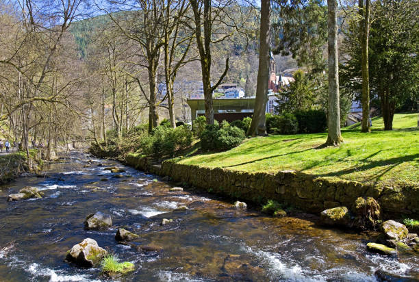 istock Spa gardens in Bad Wildbad 1300869109