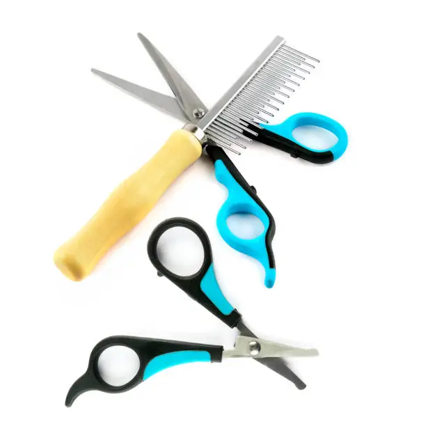 Photo of Scissors and comb for grooming dog hair isolated on white background.