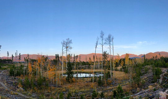 Golden aspens and pine trees surround a mountain lake in the fall.