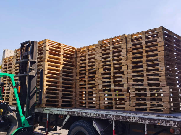 istock Worker driving forklift to loading and unloading wooden pallets from truck to warehouse cargo storage, shipment in logistics and transportation industrial, wood pallets stack 1300869528