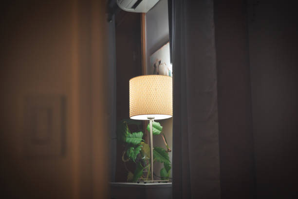 interior da sala com lâmpada acesa e planta. olhando através da porta aberta e cortinas escuras - warm light - fotografias e filmes do acervo