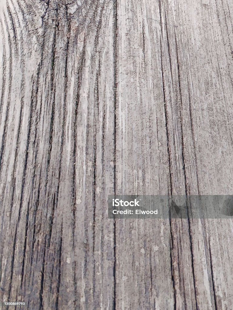 Larch Tree Texture Larch Tree Texture Stock Photo - Download Image Now - Abstract ...