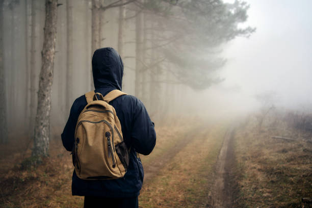 nastolatek idzie we mgle - discovery forest lost confusion zdjęcia i obrazy z banku zdjęć
