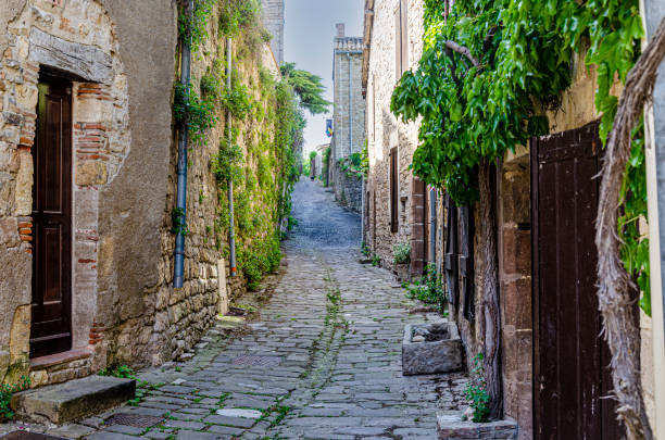 cordes sur ciel and its medieval cobbled streets. France stock photo