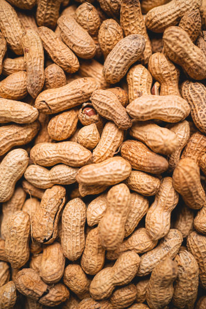 istock Close-up of peanuts in shell. 1300875308