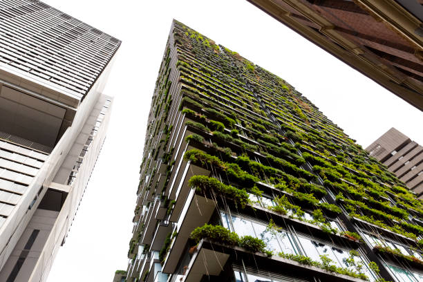 istock Low angle view of appartment building with vertical garden, background with copy space 1300875325