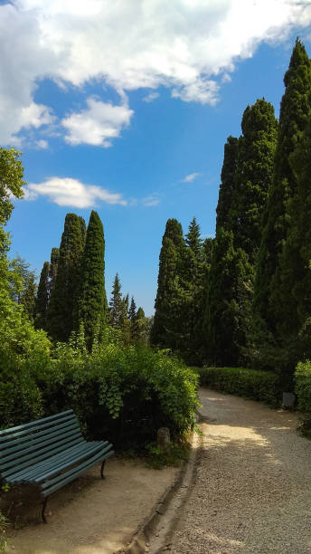 Path along an old, wooden, painted bench with backrest, shrubs, cypress trees, conifers in an old, luxuriant garden under the blue sky with white clouds. Vorontsovskiy park footpath.
Exuberant vegetation. backrest stock pictures, royalty-free photos & images