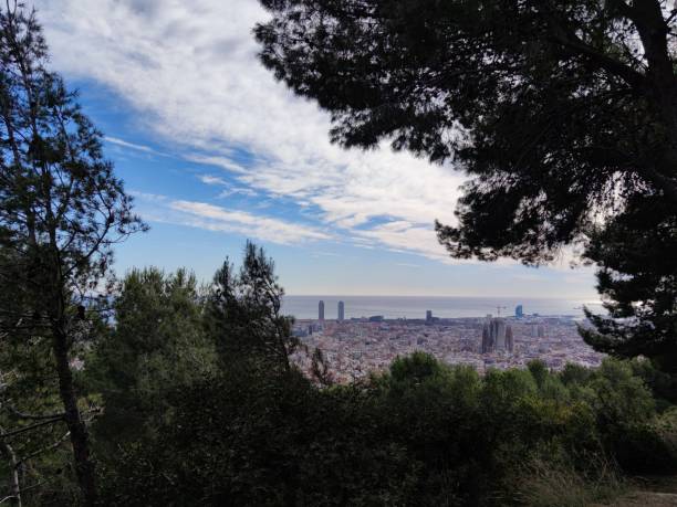 horizon de barcelone, vue aérienne le jour, catalogne, espagne - barcelona fc photos photos et images de collection