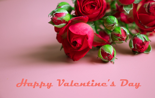 Hermosas Rosas Rojas Flores Sobre Fondo Rosa Espacio Para El Texto Concepto De Tarjeta De Felicitación De La Celebración Del Día De San Valentín Flat Lay Foto de stock y más banco Hermosas Rosas Rojas Flores Sobre Fondo Rosa Espacio Para El Texto Concepto De Tarjeta De Felicitación De La Celebración Del Día De San Valentín Flat Lay Foto de stock y más banco