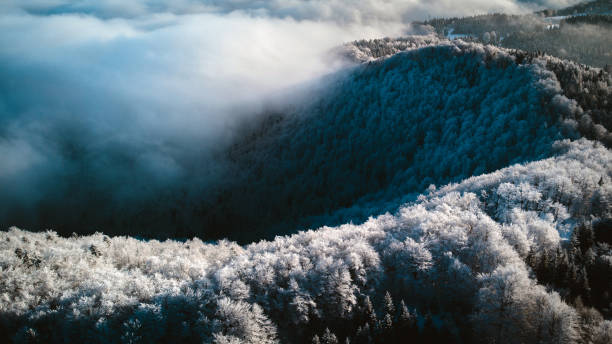 istock Breathtaking Mountains in Winter 1300882192