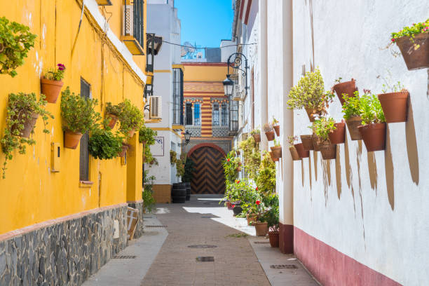beautiful streets of a famous white town in andalusia, Spain