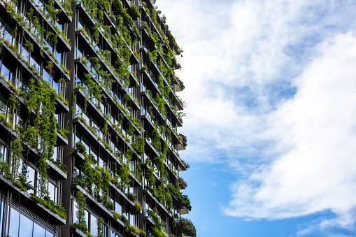 Apartment building with vertical gardens, sky background with copy space, Green wall-BioWall or living wall is a wall covered with living plants on residential tower in sunny day, Sydney Australia, full frame horizontal composition