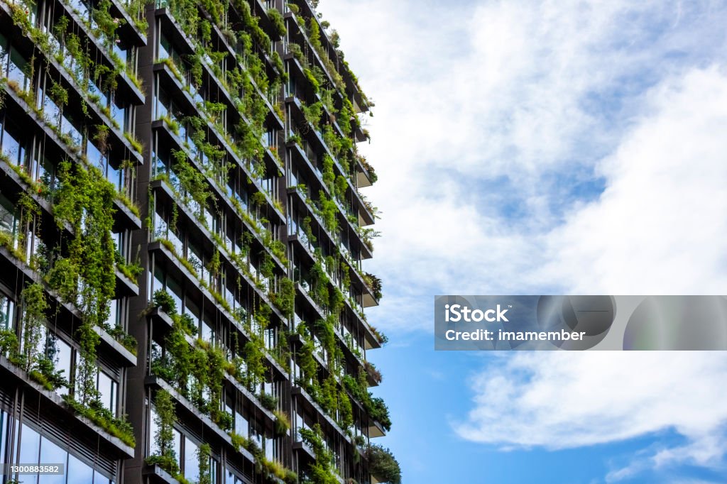 Apartment building with vertical gardens, sky background with copy space Apartment building with vertical gardens, sky background with copy space, Green wall-BioWall or living wall is a wall covered with living plants on residential tower in sunny day, Sydney Australia, full frame horizontal composition Green Building Stock Photo