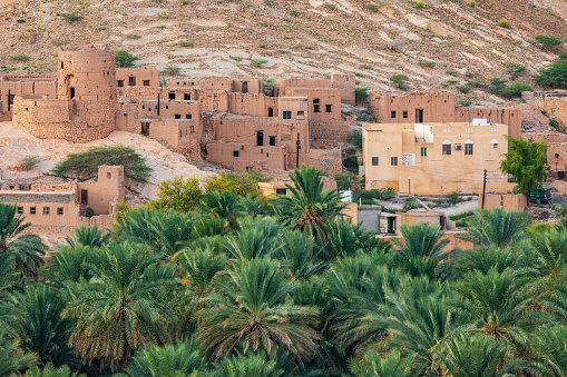 Middle East, Arabian Peninsula, Oman, Ad Dakhiliyah, Nizwa. Palm trees and a traditional mountain village in Nizwa,Oman.