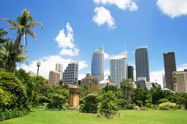 Sydney Financial District from the Royal Botanical Gardens