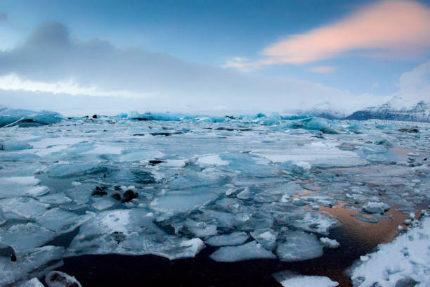 istock icebergs ashore on black sand beach 1300886666