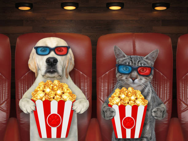 istock Pets in 3d glasses watching movie 2 1300886938