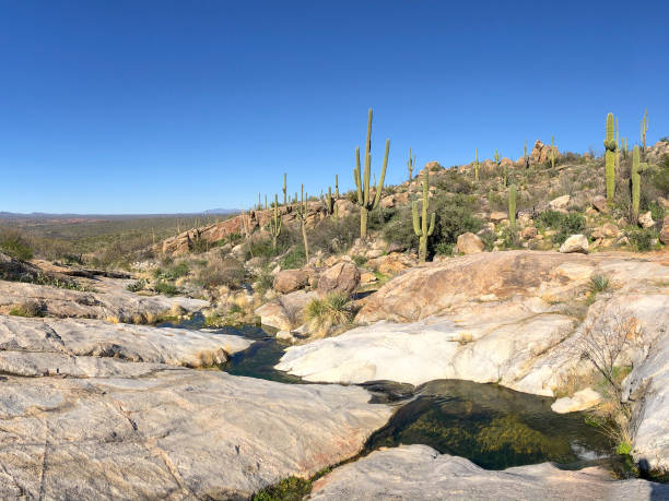 istock Beautiful Desert Landscape 1300889541
