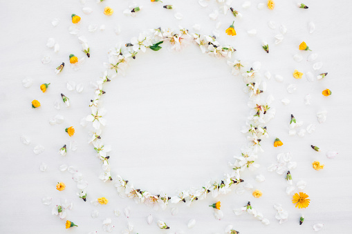 Flat lay of a beautiful floral mandala of almond blossoms and petals with yellow meadow flowers with copy space in the centre. Slightly grain added. Part of a series.