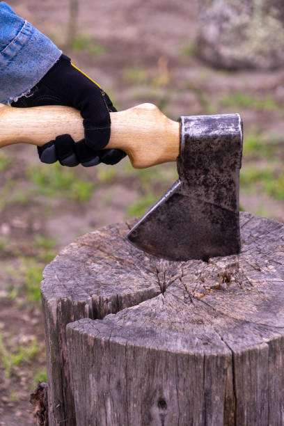 istock An axe in the hands of a man 1300889931