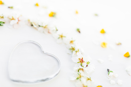 Close up of a transparent glass heart with almond blossoms and unfocused yellow meadow flowers. Slightly grain added. Part of a series.