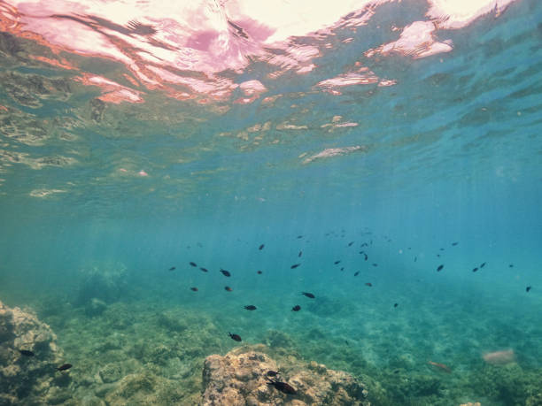 istock Underwater view  in crystal clear lagoon on the Greek island 1300890800