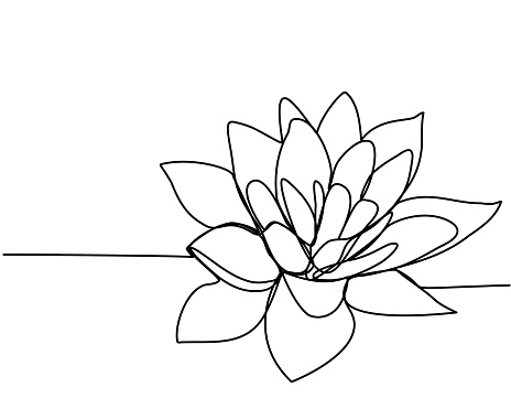 Continuous line drawing of  lotus. The concept of beauty and nature, love. Ecology of aquatic plants. Water lily flower hand drawn design one outline sketch. Vector illustration.