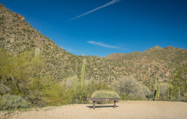 istock Beautiful Desert Landscape 1300898610