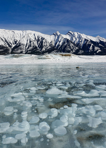 VERTICAL, CLOSE UP: Spectacular view of a bubble filled Lake Abraham under the beautiful snowy mountains. Picturesque snow-capped Rocky Mountains overlook the frozen lake full of methane bubbles.