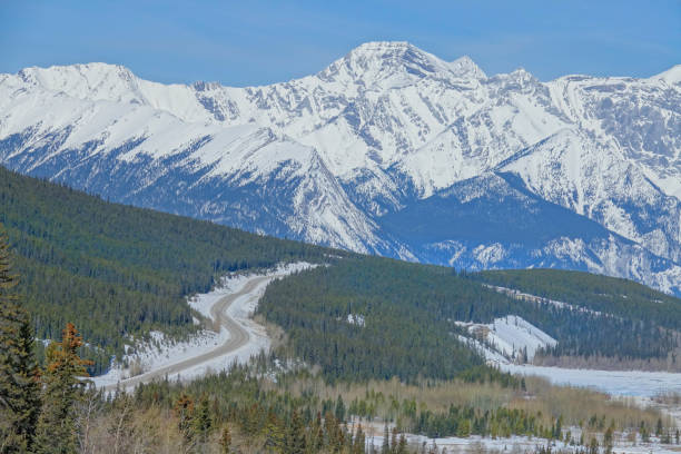istock AERIAL: Empty mountain road winds across a pine forest below Canadian Rockies. 1300899586